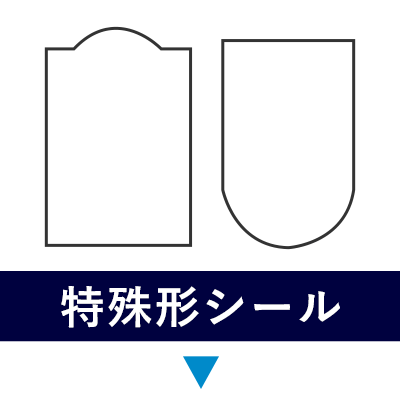 �ü��������