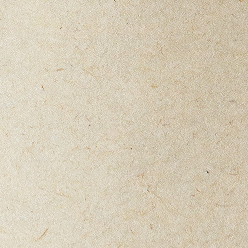 �ѡ���䥷�å��� ������